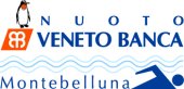 Logo di VENETO BANCA MONTEBELLUNA